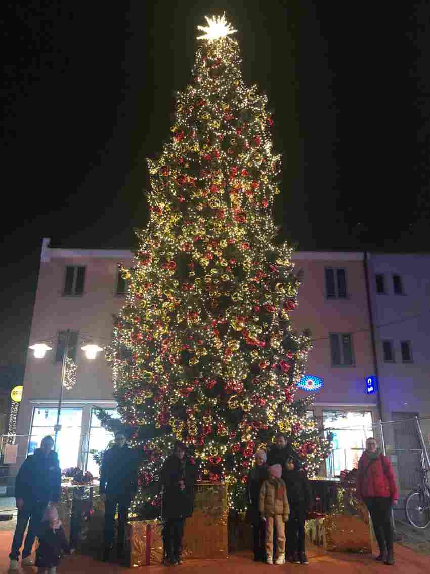 Erleuchtet den Oberen Stadtplatz in Deggendorf: der ERL-Weihnachtsbaum