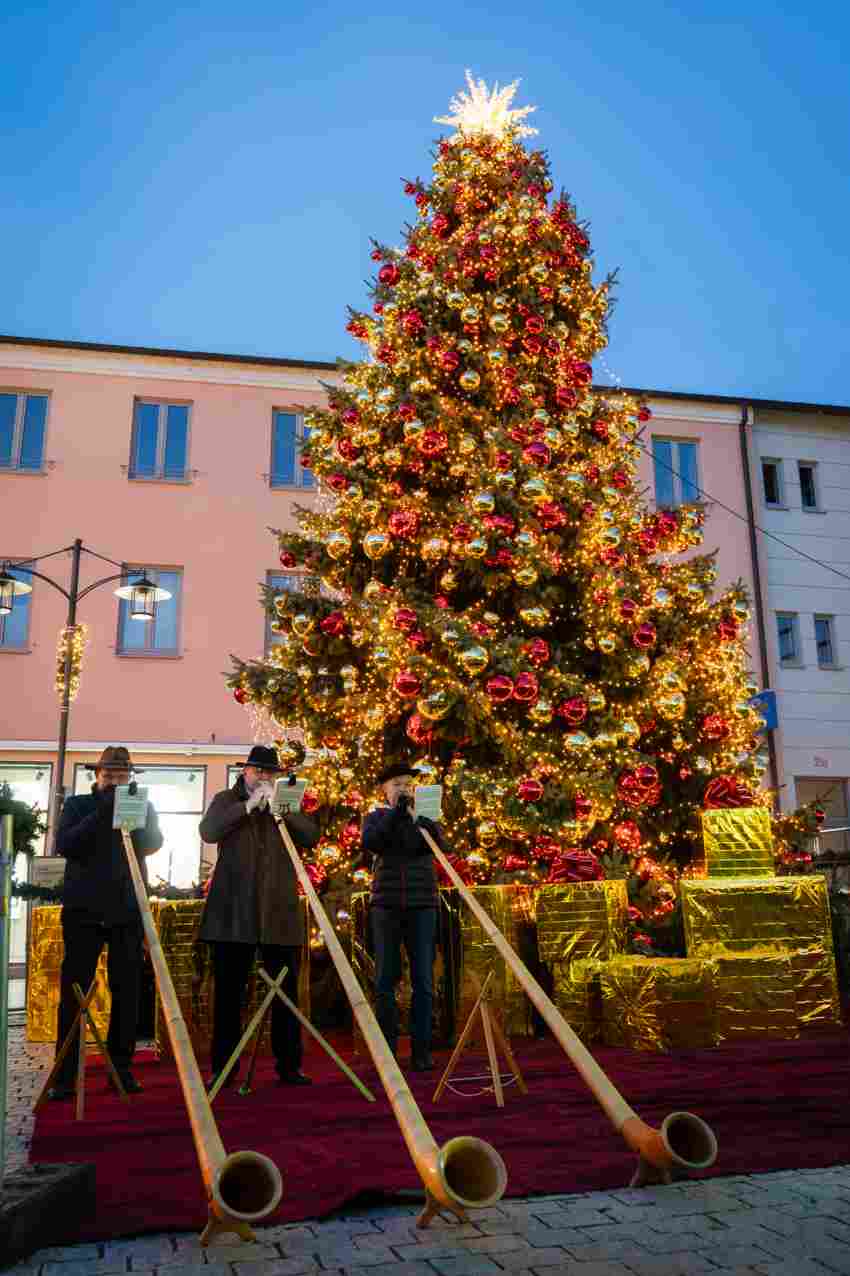 Wenn der geschmückte Baum am Oberen Stadtplatz zum ersten Mal feierlich erle ...